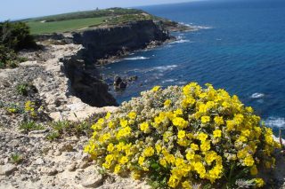 sardegna-biodistretto-più-grande-italia