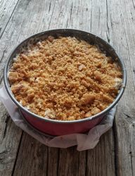 superficie ricoperta da biscotti secchi