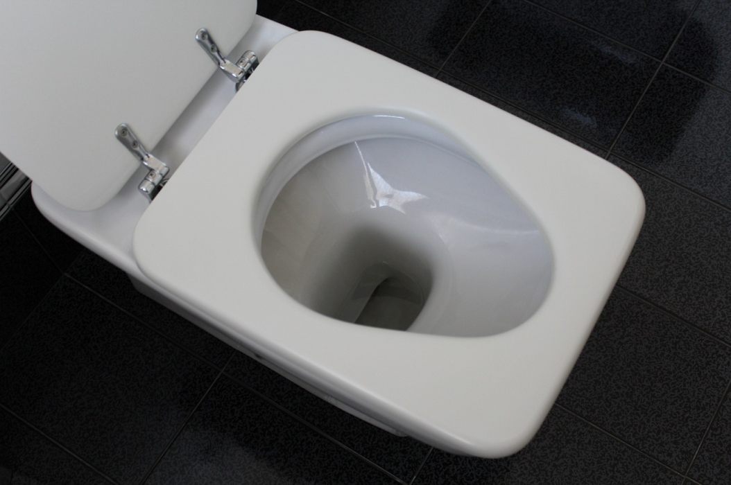 tavoletta wc