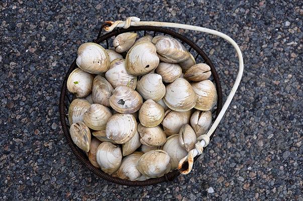 Vongole veraci nostrane di Niedditas: richiamo per rischio chimico