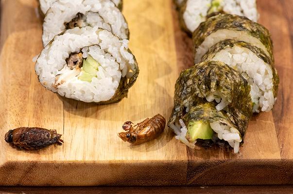 Sushi di cicale: la trovata di una ricercatrice americana