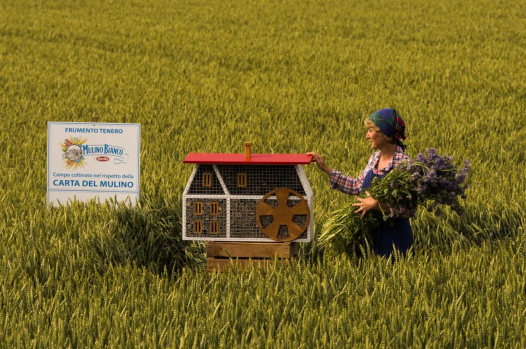 Imprenditrice agricola con mulino delle api installato nei pressi del campo di frumento tenero di Adria (Rovigo) 001