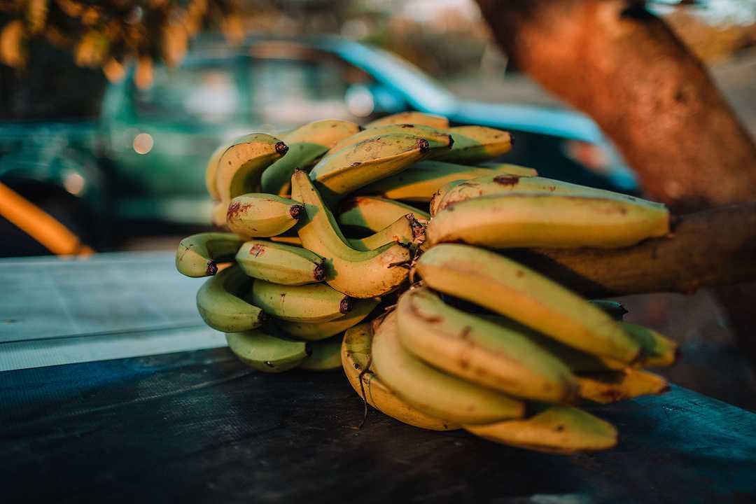 Reggio Calabria: trovata una tonnellata di cocaina nascosta nelle banane