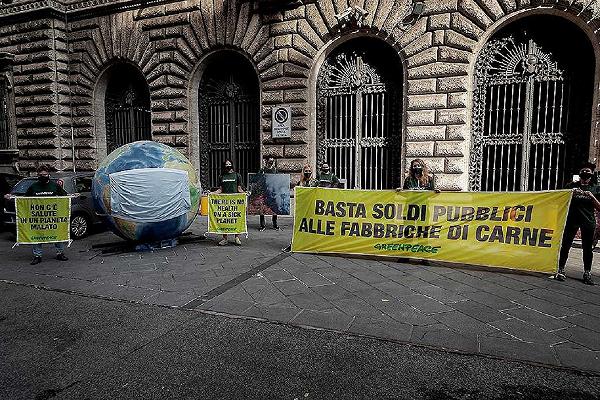 Greenpeace contro gli allevamenti intensivi: “Basta soldi pubblici alle fabbriche di carne”