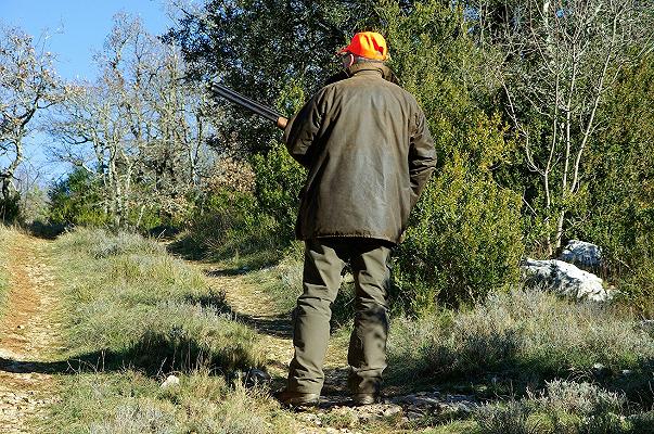 Toscana: gli agricoltori potranno sparare agli animali che danneggiano i campi