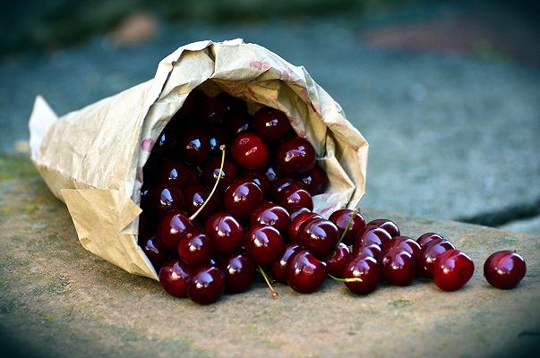 Ciliegia di Vignola: sperimentazioni contro parassiti e fisiopatie