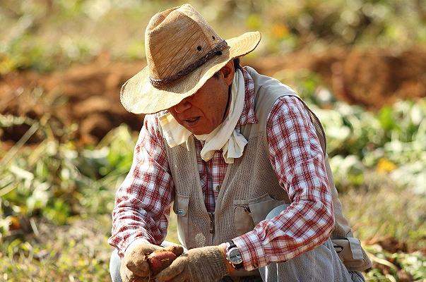 Foggia: 7 imprenditori agricoli arrestati per sfruttamento dei braccianti