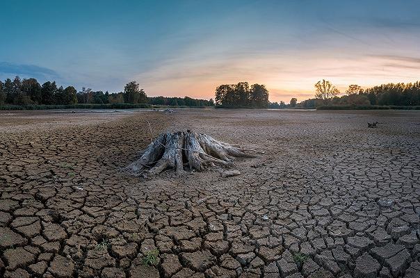 Siccità: il Piemonte ha richiesto lo stato di calamità per l’agricoltura