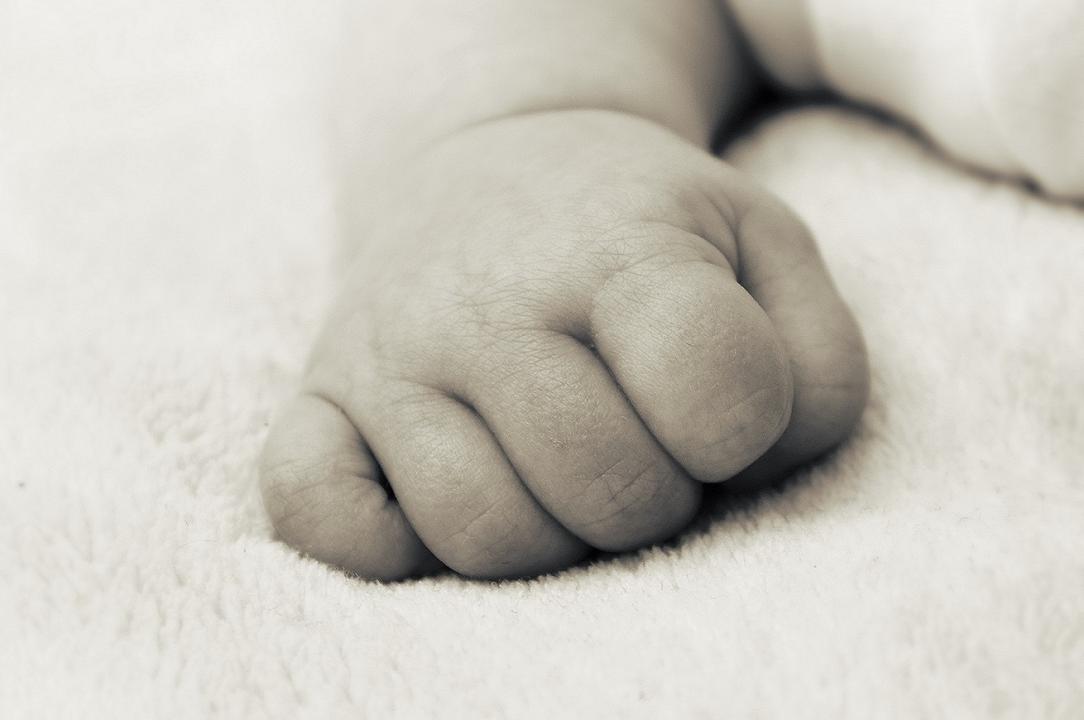 Trento: neonato mangia omogeneizzato scaduto da 2 anni, denunciato il supermercato