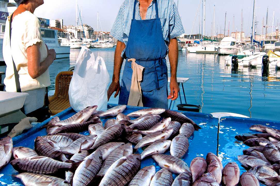 Ristori, 114 milioni di euro per pesca e zootecnia