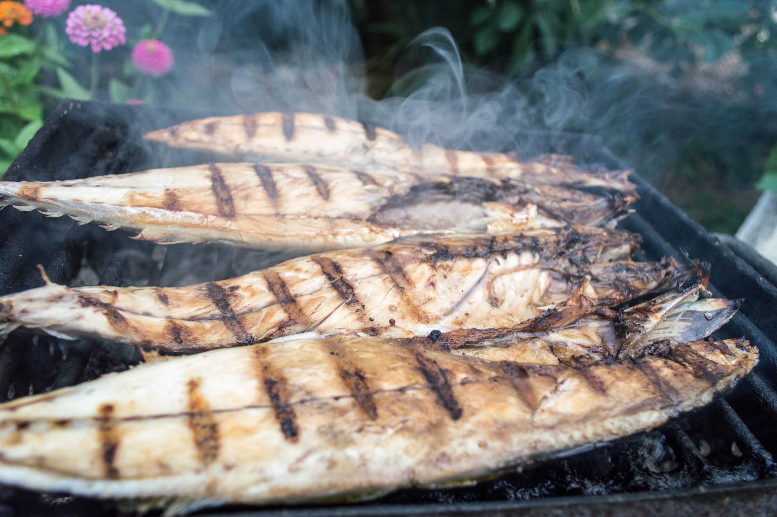 pesce-grigliato
