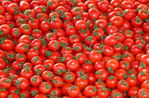 Pomodoro “confezionato in Italia” ma prodotto in Cina: inchiesta sulla violazioni dei diritti umani