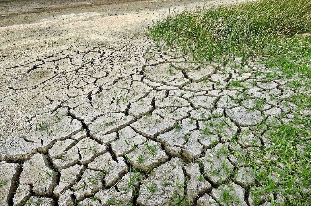 Agricoltura: la siccità è la calamità più rilevante, danni per 1 miliardo di euro