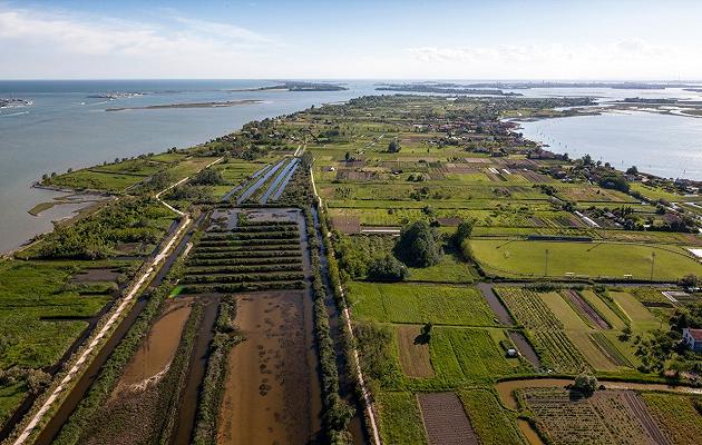 Venezia: l’isola di Sant’Erasmo diventa l’orto dei ristoratori di laguna che contano