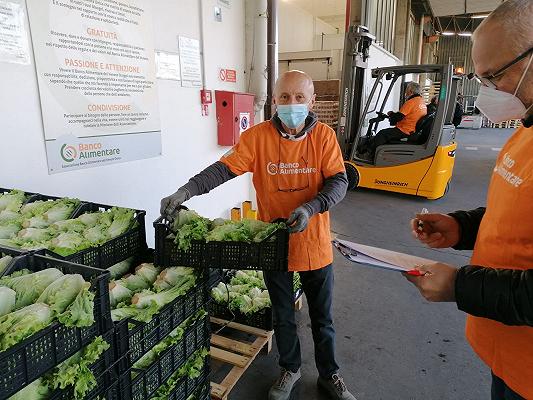 Banco Alimentare, la Colletta raccoglie 7 tonnellate di cibo