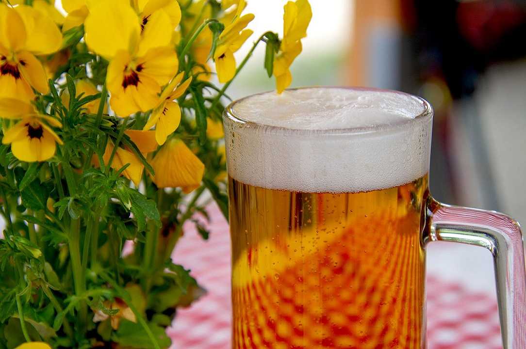 UK: birra troppo cara, il 52% degli inglesi ritiene inaccessibile il prezzo di una pinta