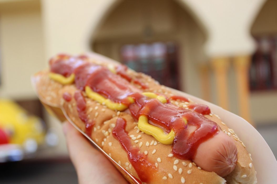 hot dog usa