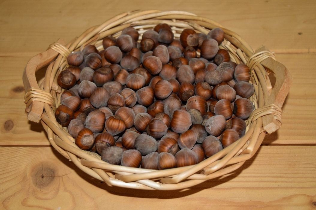 noccioline