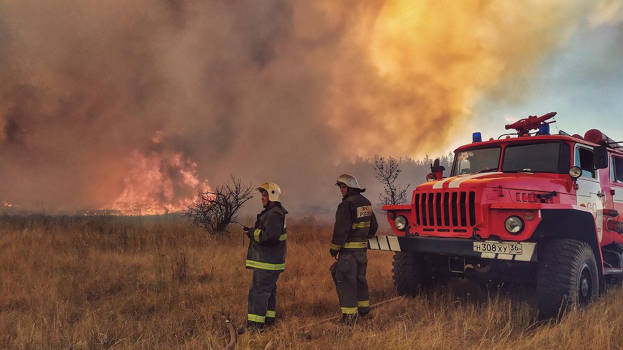 Sardegna: gli incendi distruggono 20mila ettari di oliveti, campi e aziende agricole