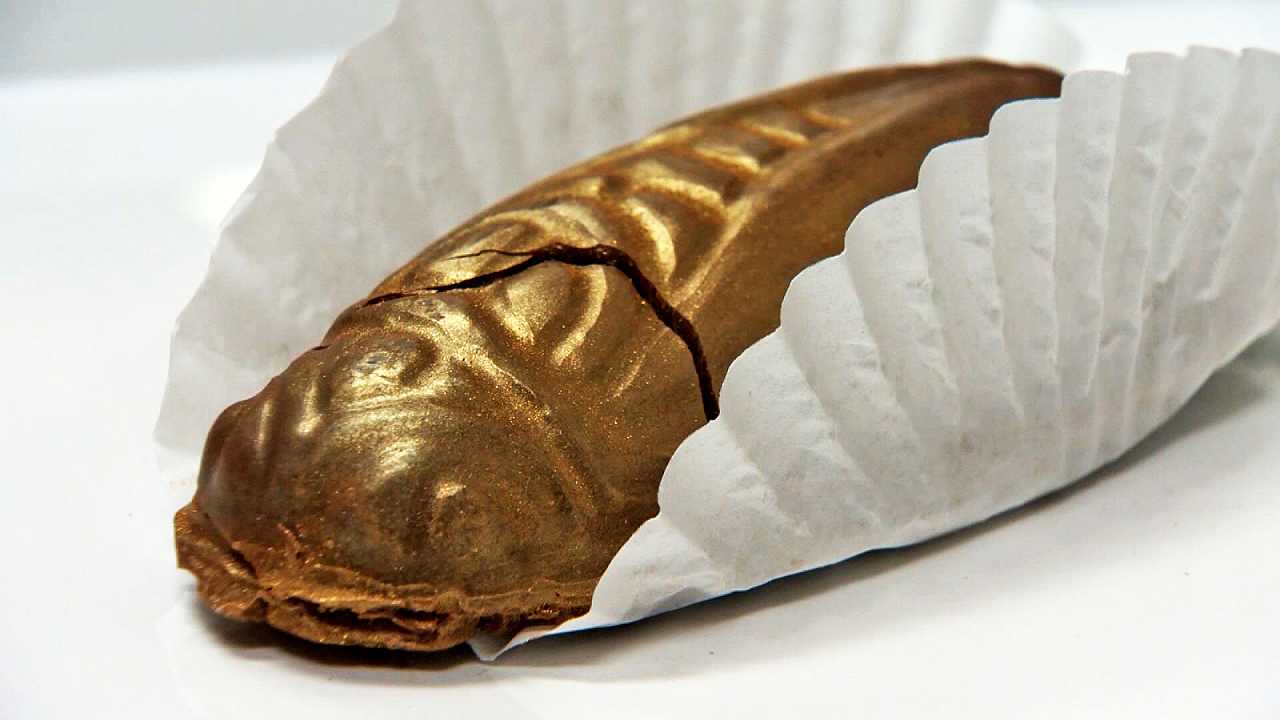 Usa: la pasticceria che crea cioccolatini alle cicale