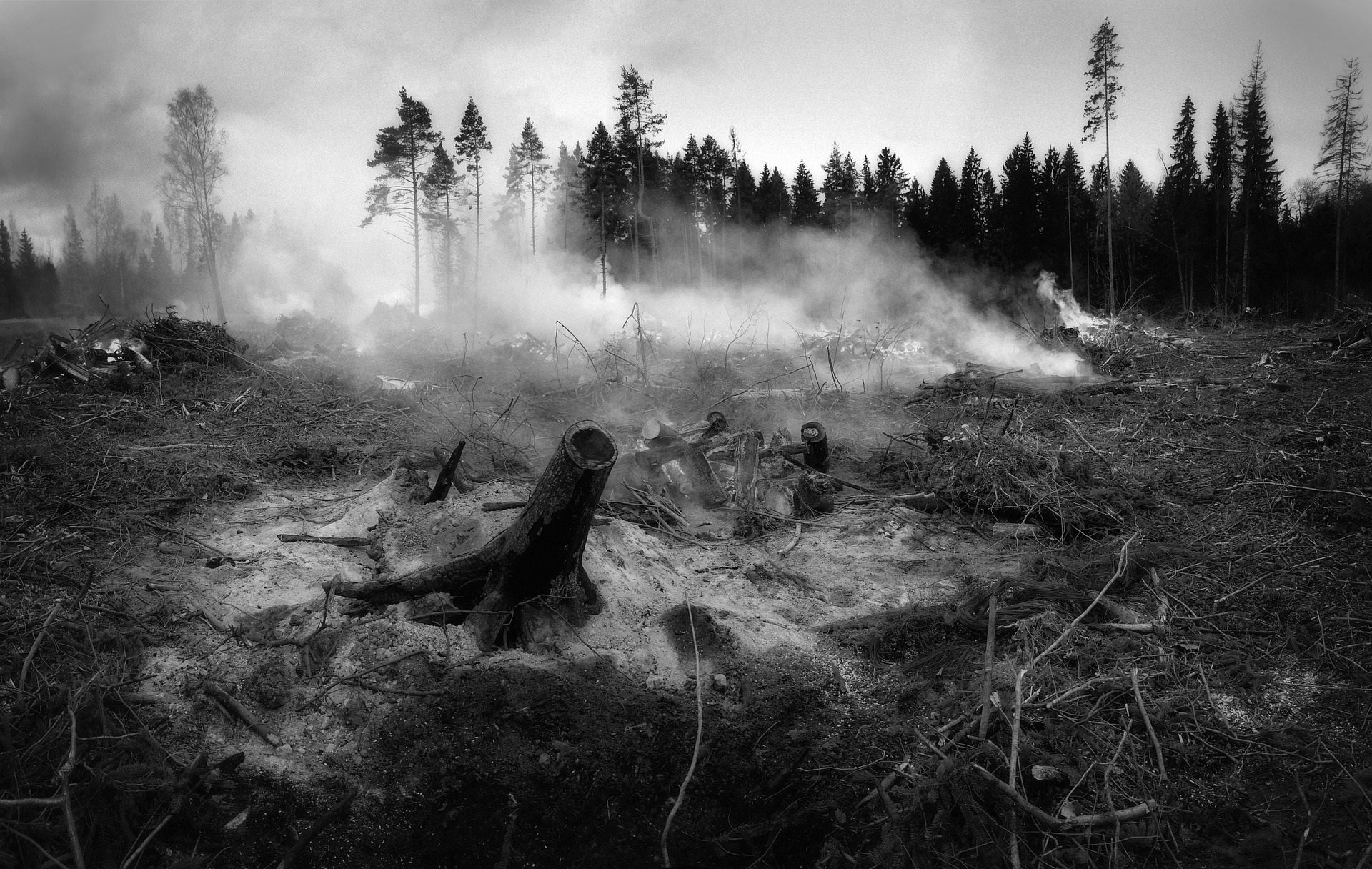 incendio