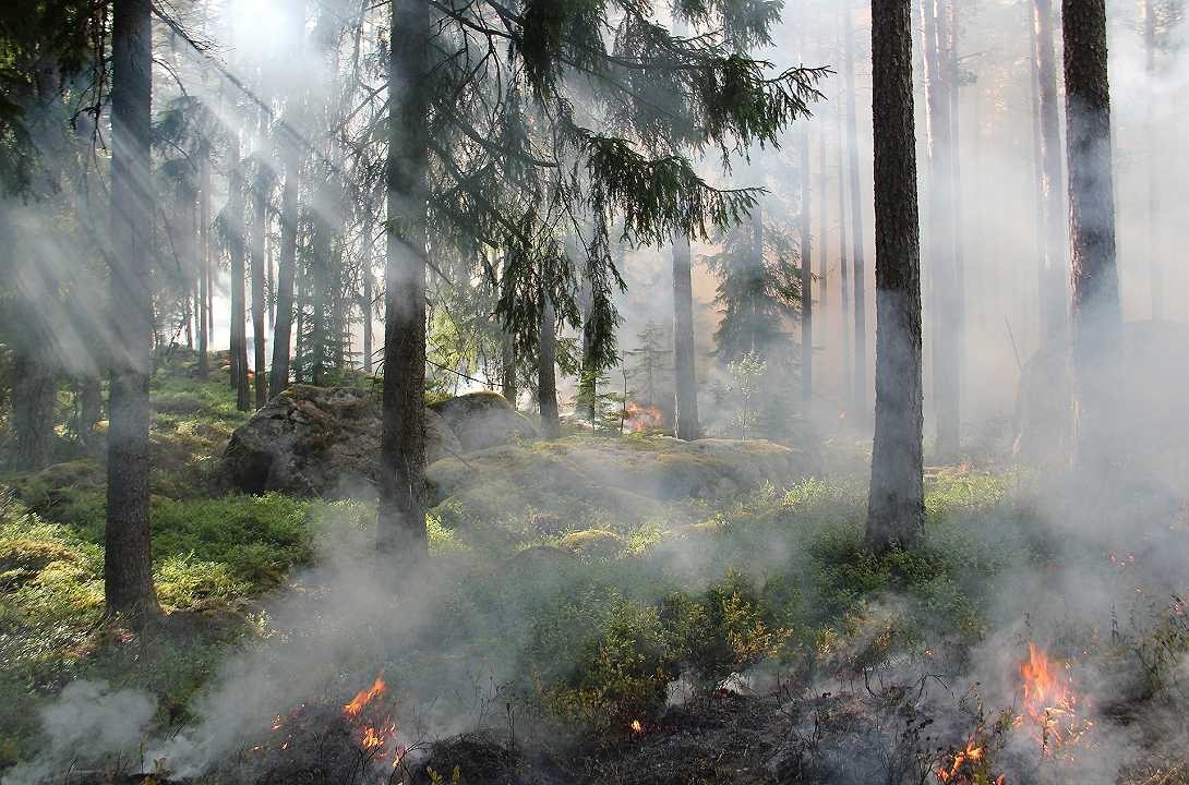 Siccità, gli incendi sono triplicati nell’ultimo anno: in fumo 16 mila ettari
