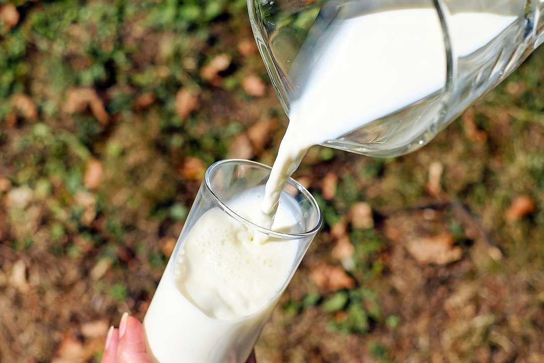 Beyond Meat deposita il marchio Beyond Milk: arriva il latte non latte