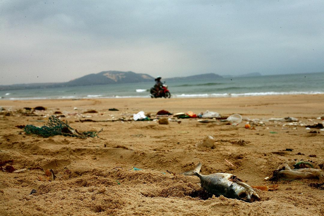 Spagna: morti migliaia di pesci e crostacei nel mar Menor