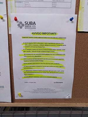 Lonigiano: azienda di sementi impone green pass o tampone decurtato dallo stipendio