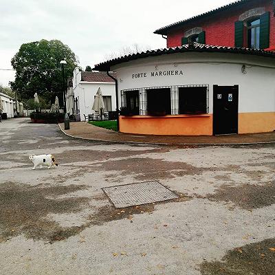 Pizzeria Il Bagolaro a Mestre, Venezia