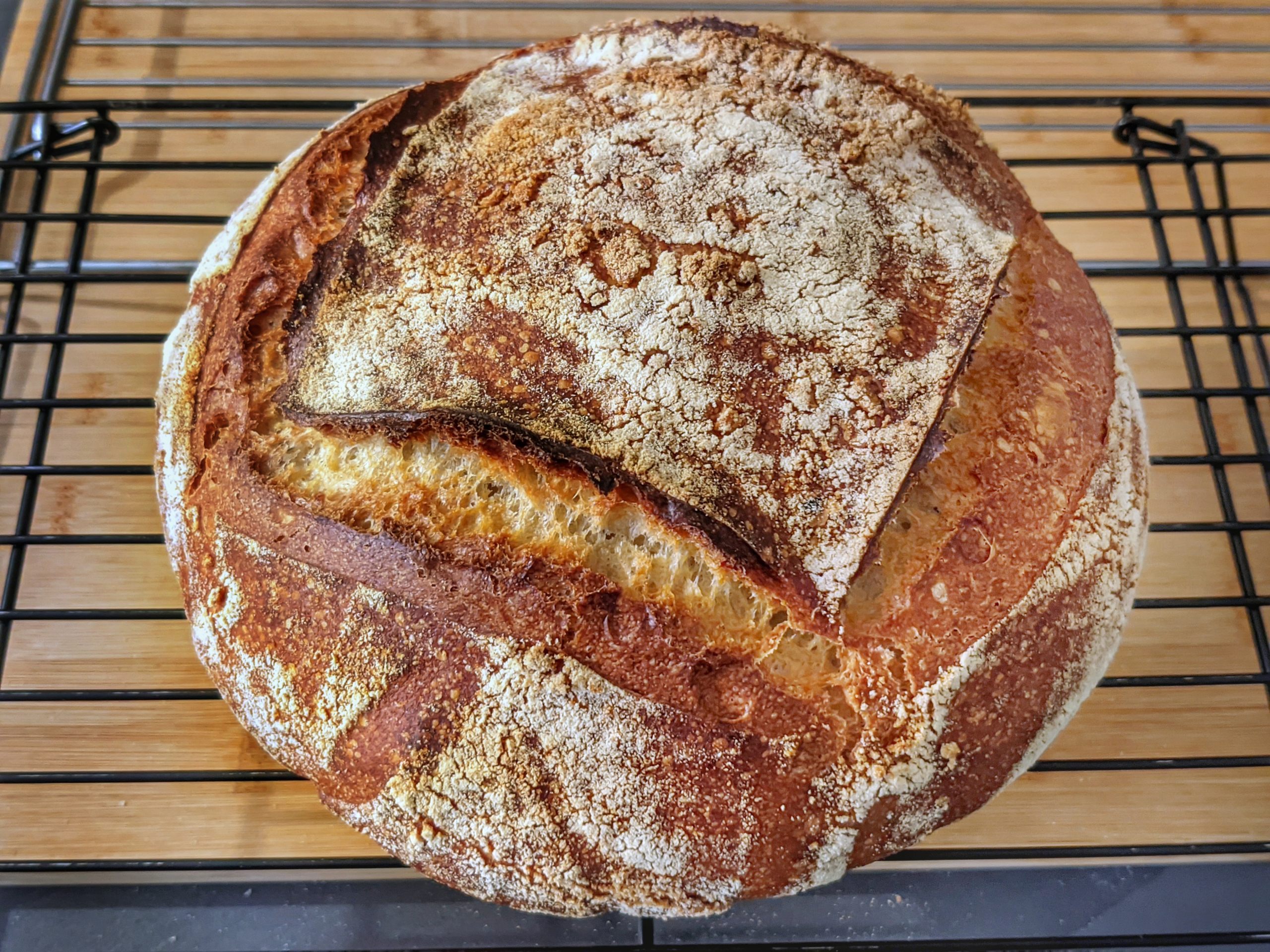 Bufala grano duro - Grano duro pane 2