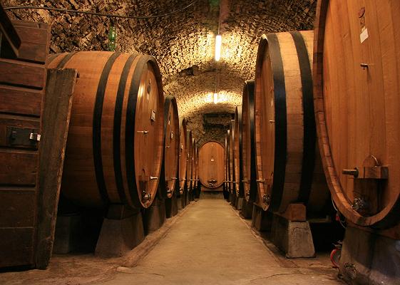 Vino, il legno per l’invecchiamento è sempre più difficile da ottenere