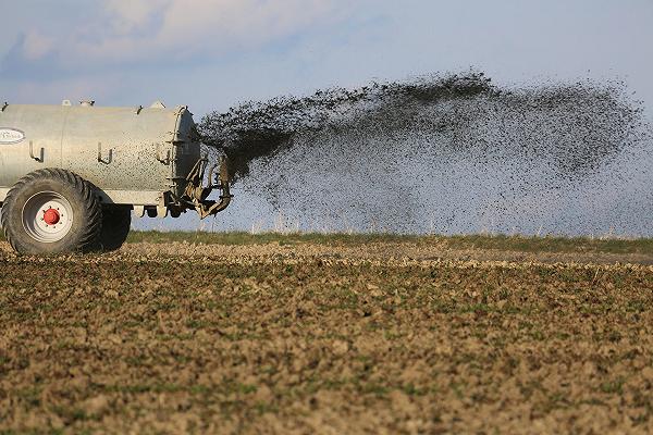 Agricoltura, la carenza di fertilizzanti incide sul prezzo dei cereali