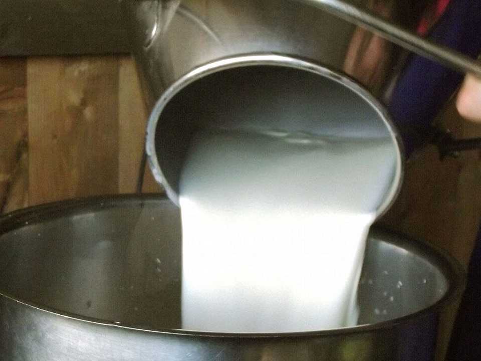 Latte, l’appello della Cia per aumentare i prezzi di 5 centesimi al litro