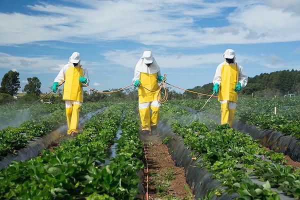 Pesticidi in camera da letto: il risultato di studio sulle case in campagna