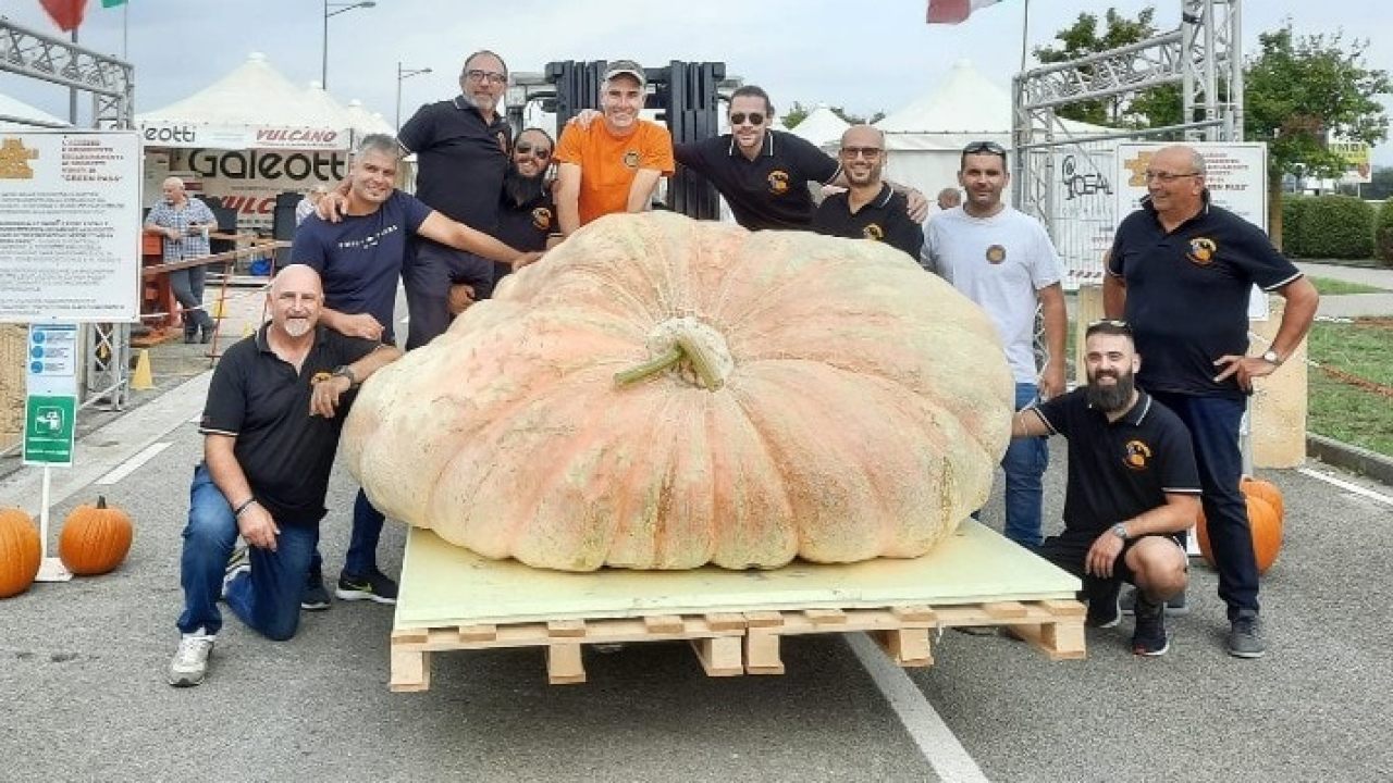 Zucca Da Guinness Dei Primati In Italia Pesa Kg Dissapore