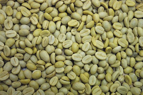 Caffè-Verde