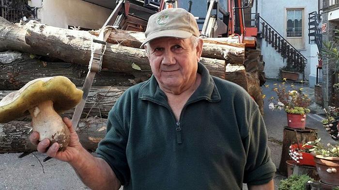 Torino, trovato un fungo porcino da 1,3 chili