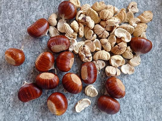 Castagne, in Valle di Susa quelle troppo piccole diventeranno farina