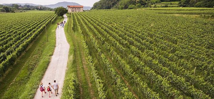 Guida Michelin: accordo con la Franciacorta per ospitare le prossime tre edizioni