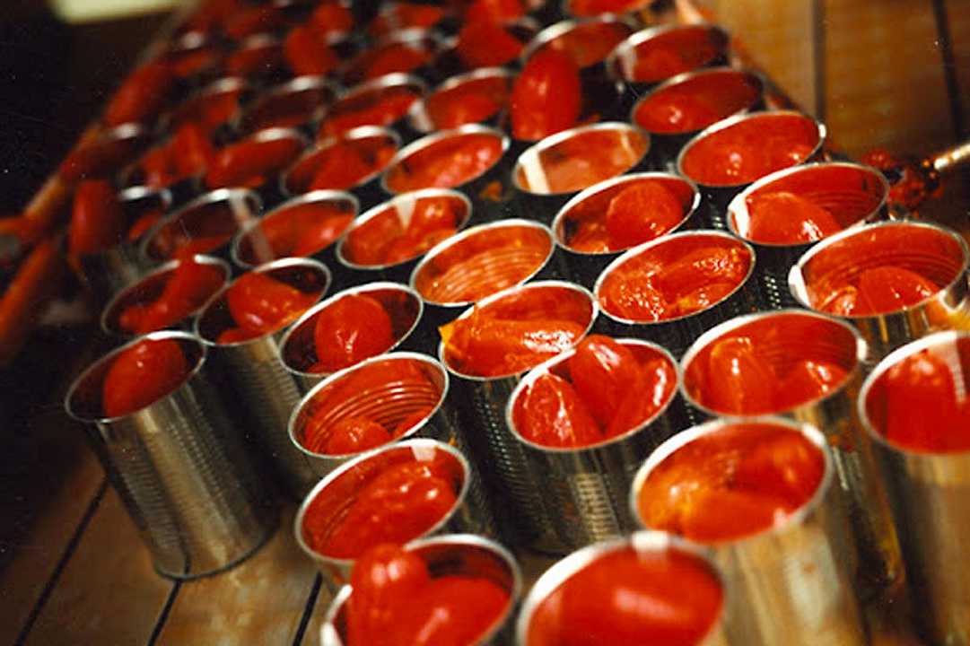 Pomodoro da industria: l’Italia scavalca la Cina, è il secondo produttore al mondo