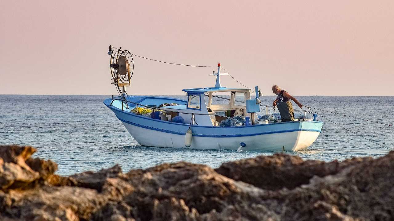 Fermo pesca: stop al pesce fresco nell’alto Tirreno fino al 2 novembre