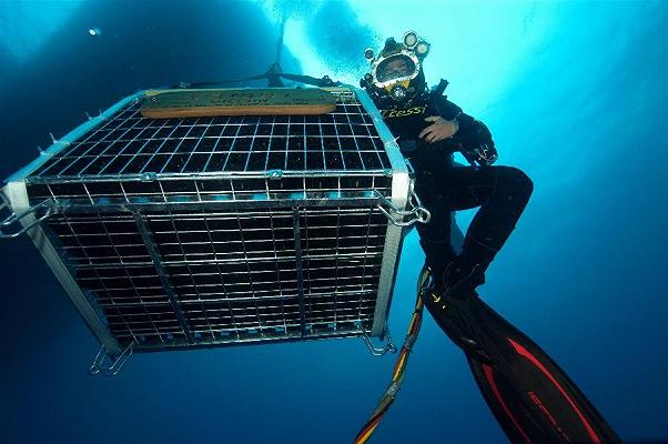 Vino, a Portofino 4500 bottiglie invecchieranno sott’acqua