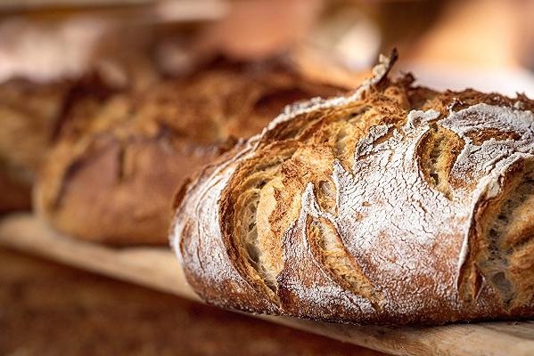 Imparare il pane: i 10 libri sulla panificazione imprescindibili