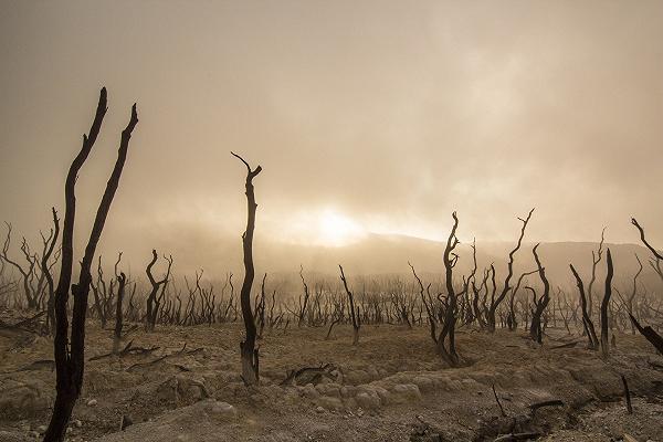 Agricoltura, il caldo torrido “brucia” frutta e verdura: i raccolti segnano perdite fino al 70%