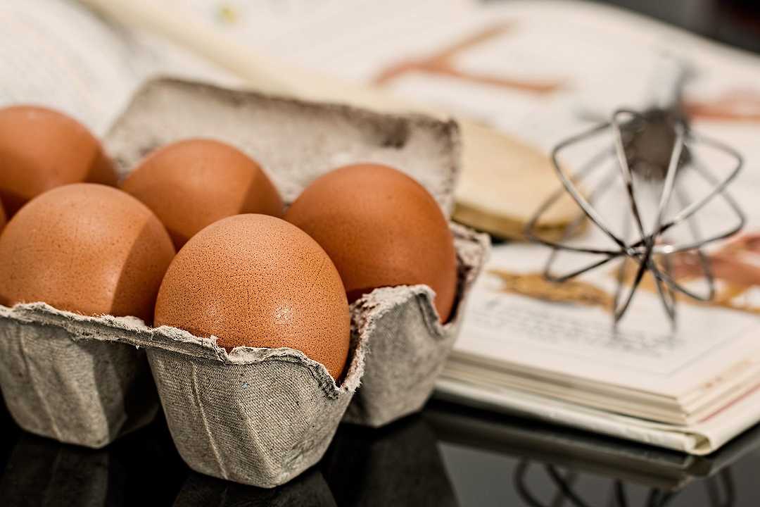 L’uovo fresco del Raparo Ovo: richiamo per rischio microbiologico