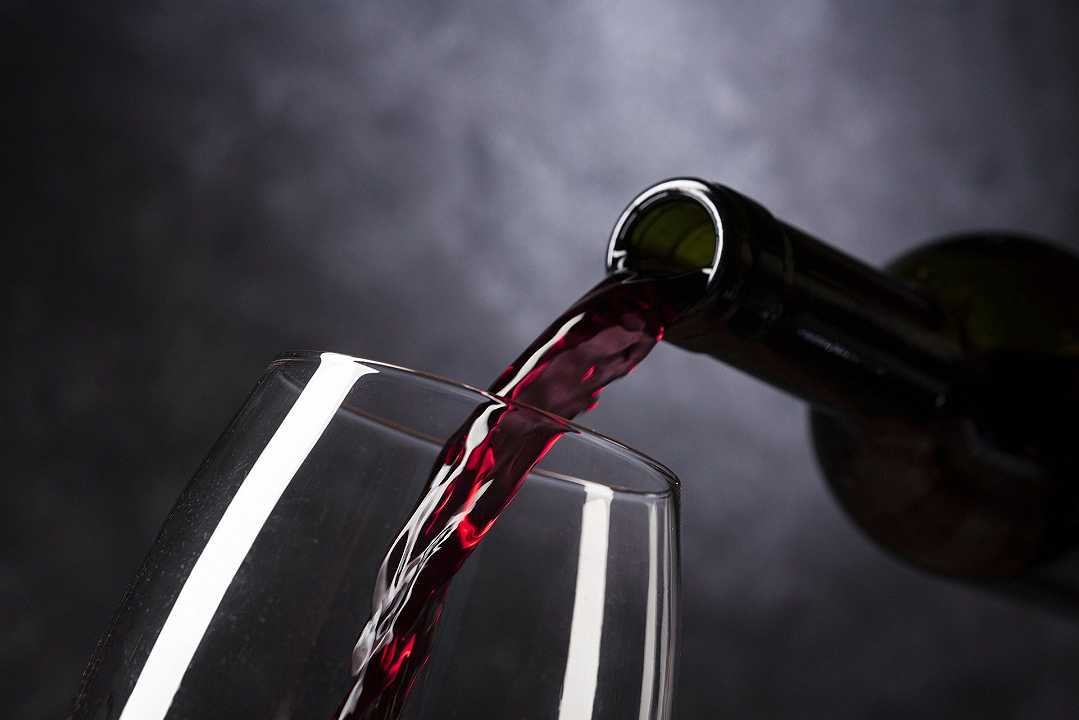 Vino, criceti possono bere 21 bottiglie senza ubriacarsi