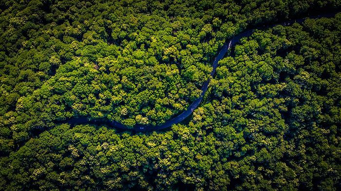 Brasile, due giornalisti uccisi in Amazzonia, indagavano sulla pesca di frodo