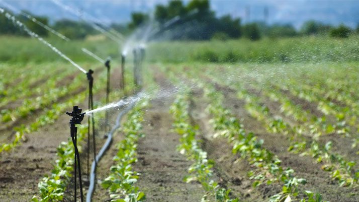Agricoltura, l’UE riduce l’acqua per l’irrigazione dei campi