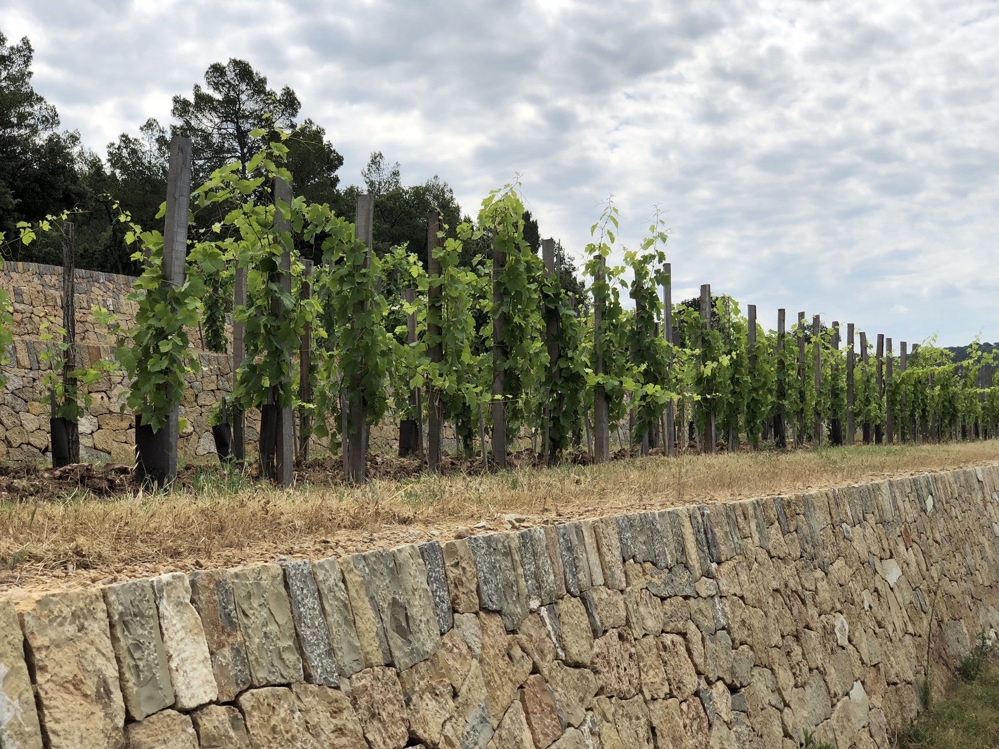 Chateau Miraval